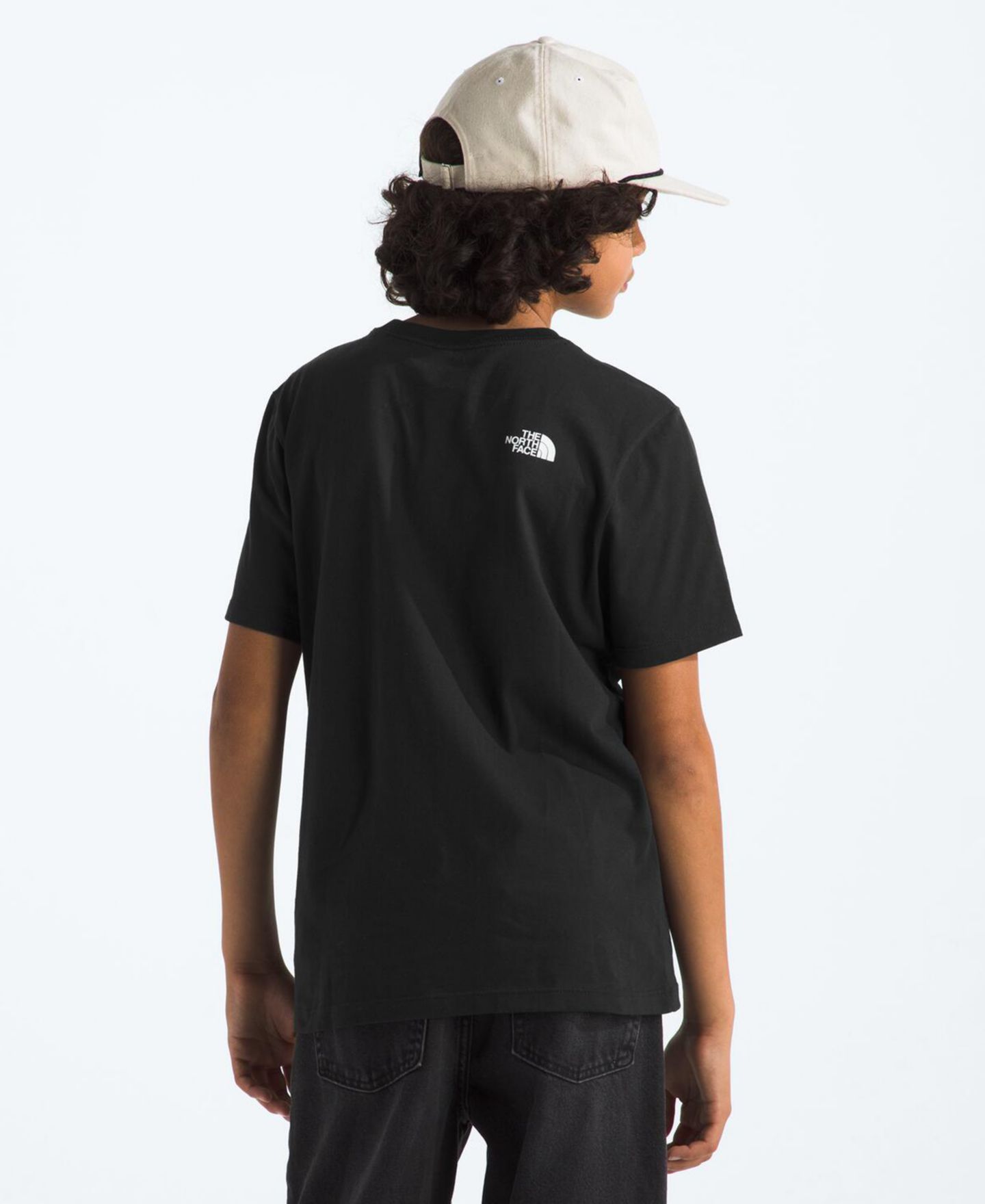 Футболка The North Face Teen Evolution Half Dome T-Shirt для мальчиков, цвет: Чёрный — фото 2