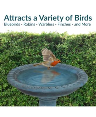 Outdoor Glass Fiber Reinforced Concrete Patio Garden Façade du Soleil Bird Bath - 26"