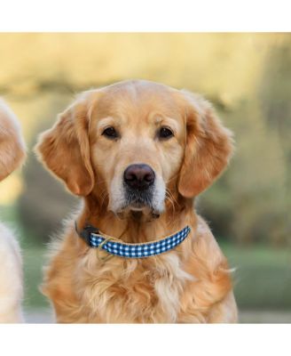 Navy Gingham Dog Collar