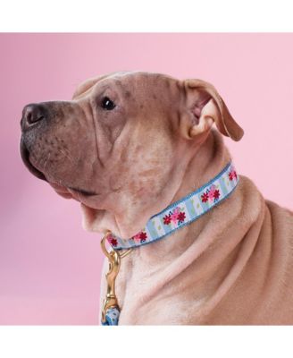 Bouquet Dog Collar