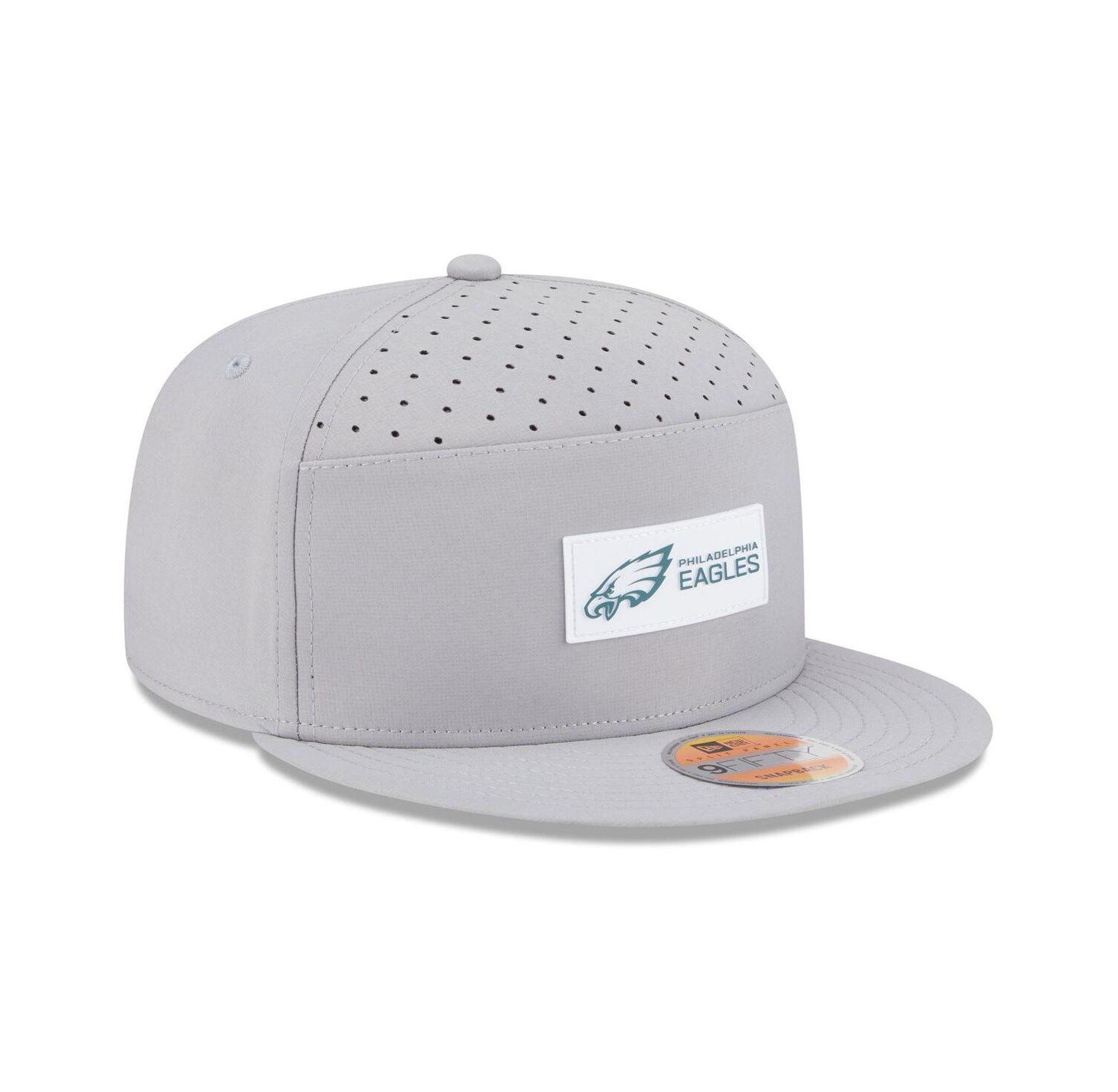 Men's Gray Philadelphia Eagles 2025 Sideline Split Panel 9FIFTY Snapback Hat