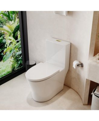 Dual Flush 1.1/1.6 GPF Elongated One-Piece One-Piece Bathroom Fixture, Comfort Height, Water-Saving Design, MAP 1000g