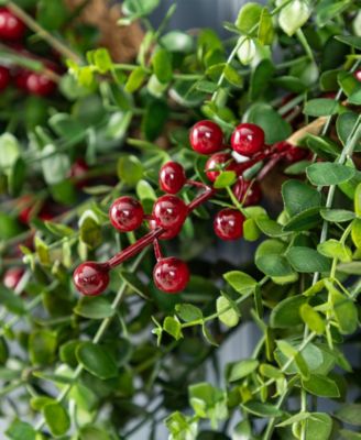 Christmas Greenery Dripping Eucalyptus Wreath and Matched Garlands, Set of 3