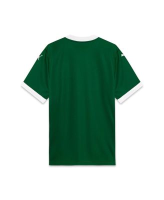 Men's Green SE Palmeiras 2025/26 Replica Home Jersey