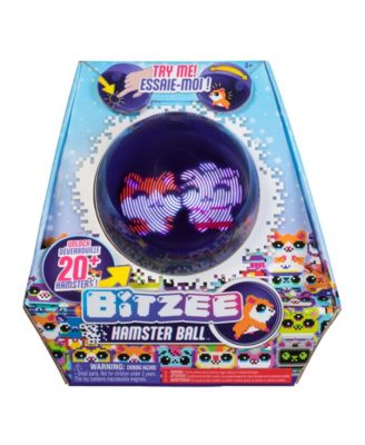 Hamster Ball Interactive Toy