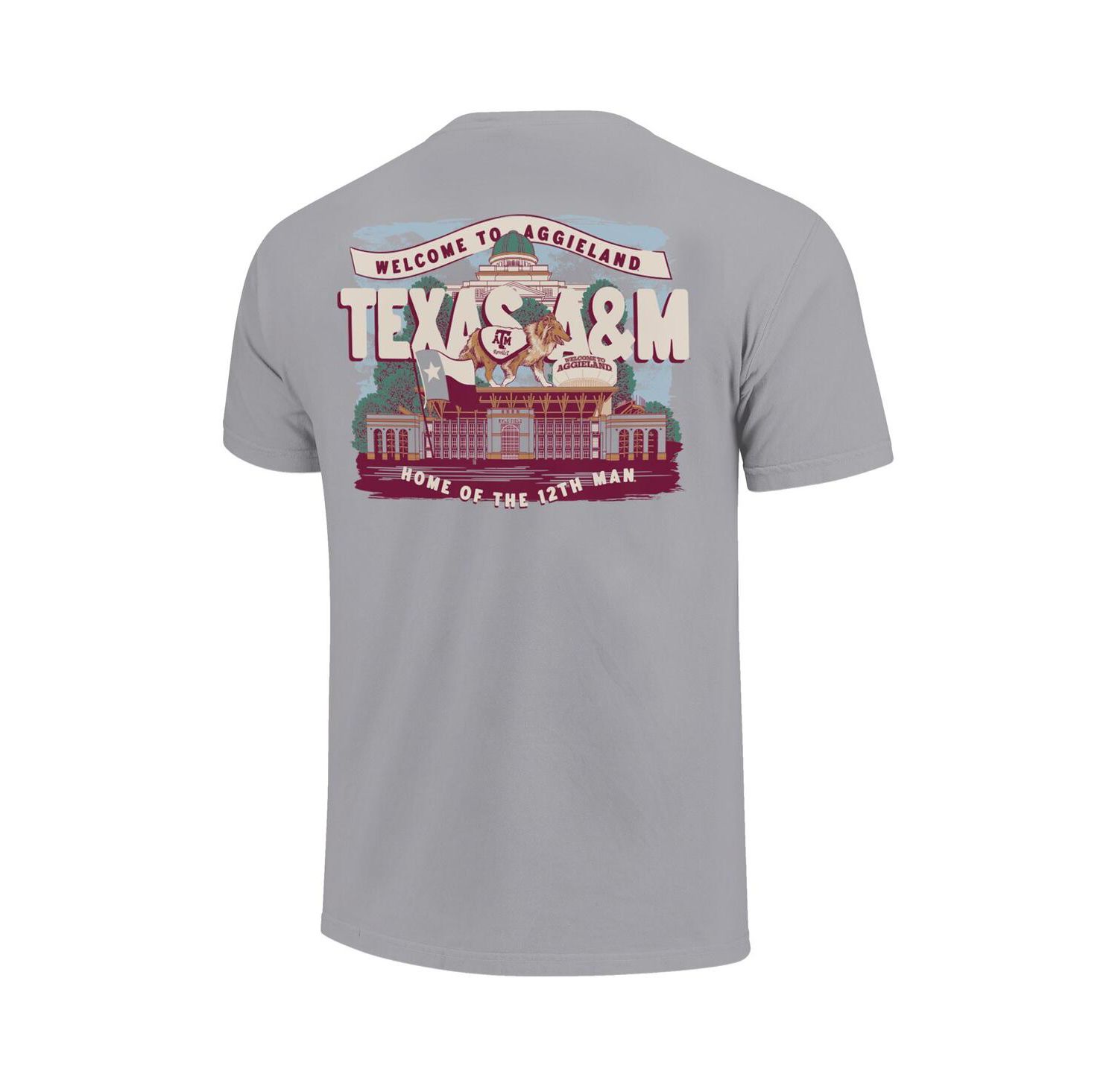 Big Boys and Girls Gray Texas A&M Aggies Local Campus Scene T-Shirt