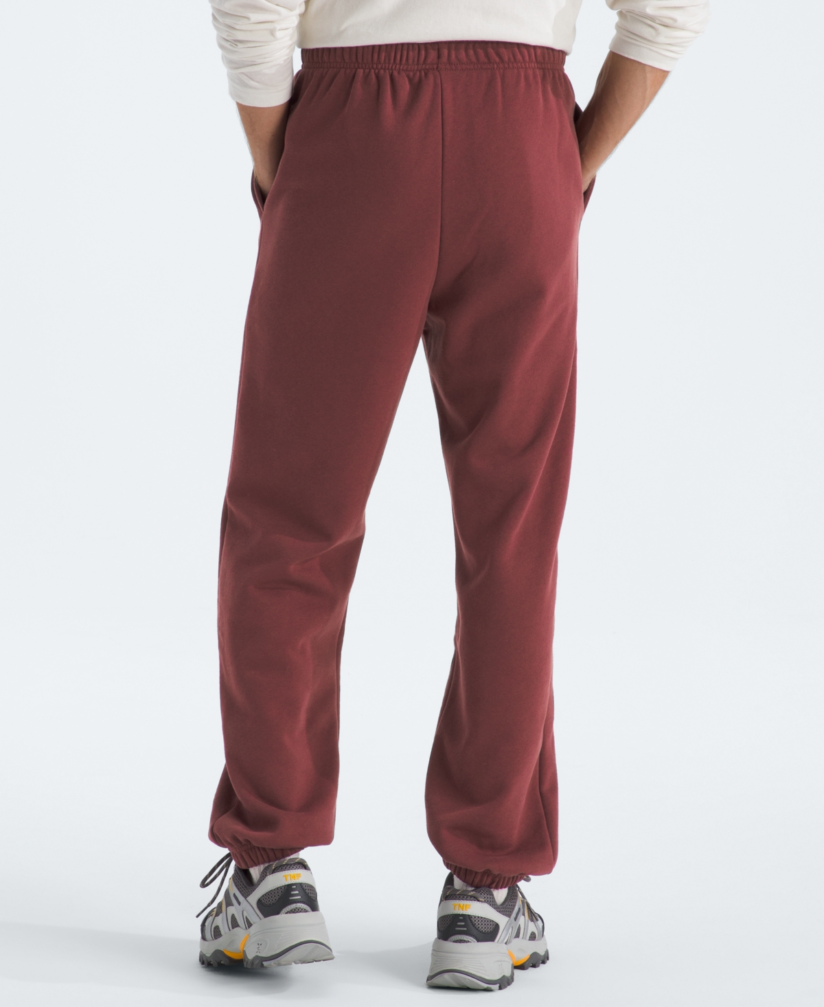 The North Face Men's Evolution Simple Dome Pants In Burgundy