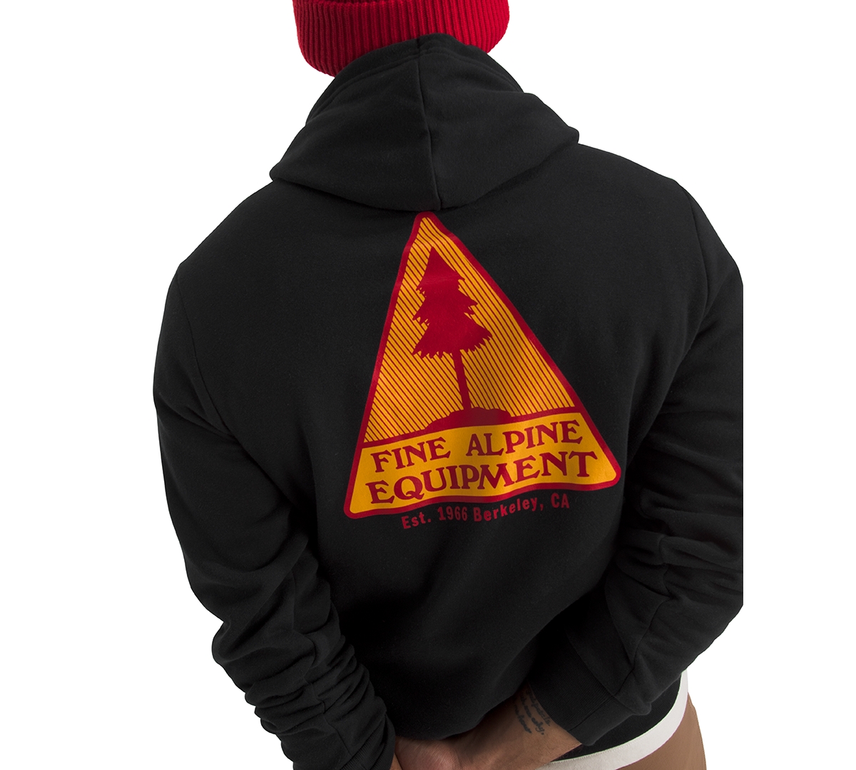 The North Face Men's Evolution Mountain Woods Graphic Hoodie In Black