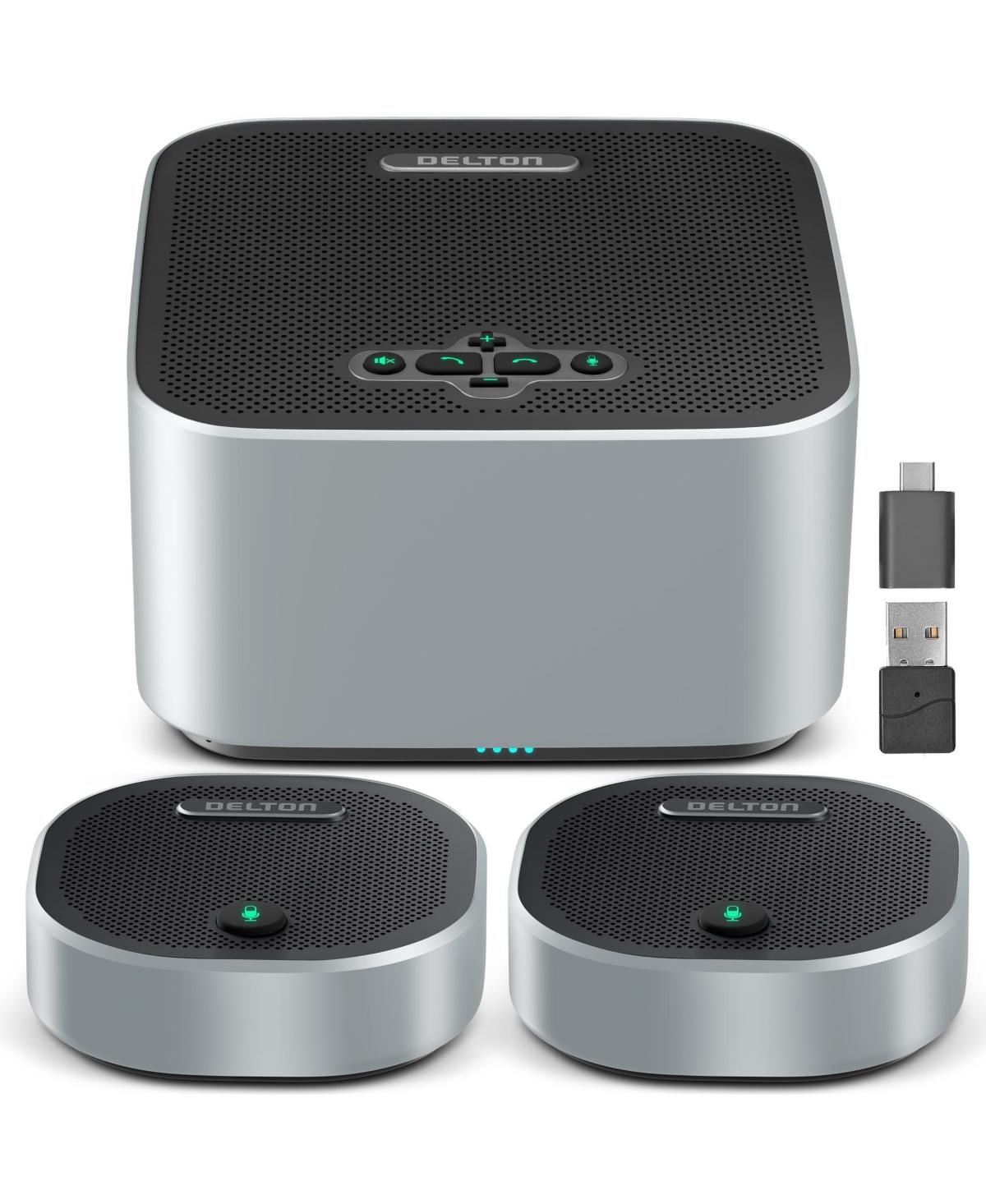 Delton C9270 Wireless Conference Speaker with 2 Mics (DSC9270S)