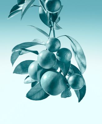 3-Pc. Eau de Parfum Holiday Gift Set