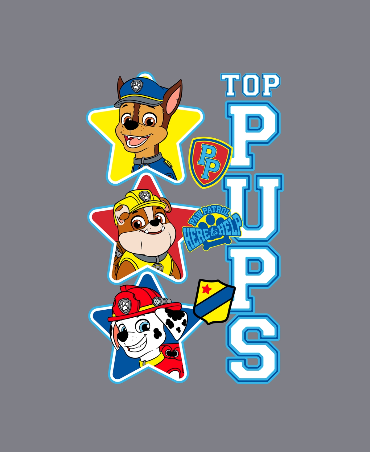 Paw Patrol Boys 2t-5t Top Pups Short Sleeve T-shirt In Gray