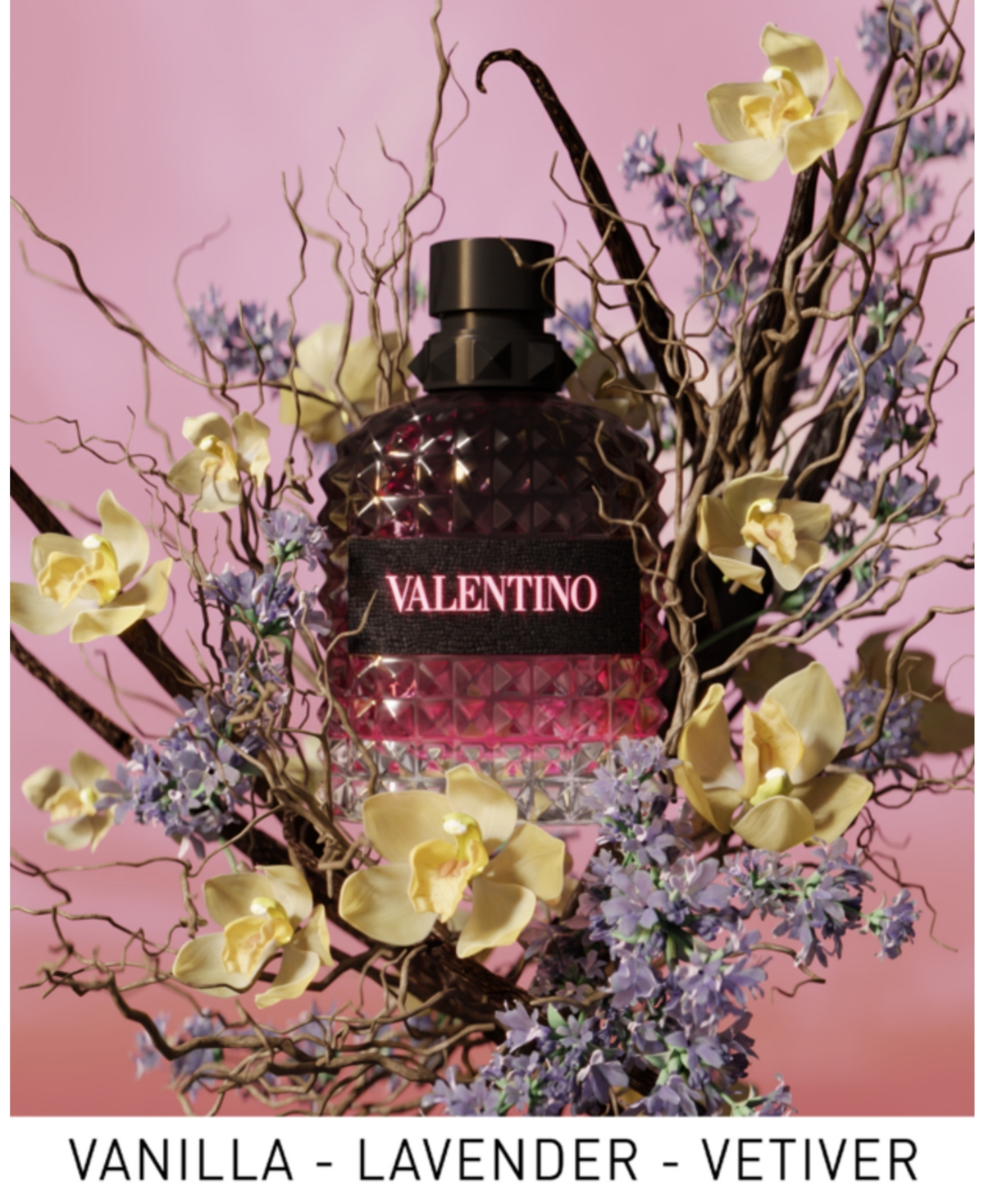 Valentino Uomo Born In Pink