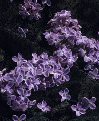 Sicily Re-Edition Fragrance, 3.3 oz