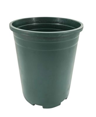 Puleo 22" Pre-Lit Artificial Potted White Poinsettias