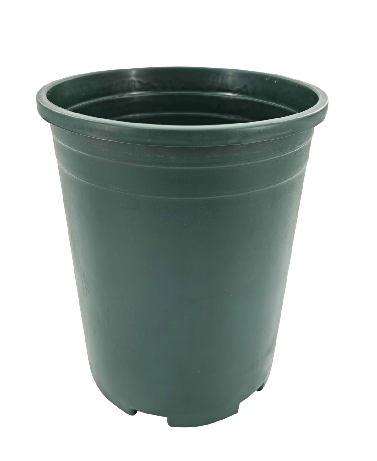 Puleo 22" Pre-Lit Artificial Potted White Poinsettias