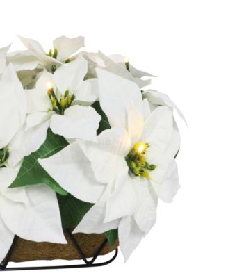 Puleo 24" Pre-Lit Artificial White Poinsettia Window Box D&eacute;cor