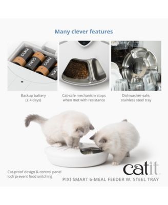 Pixi Smart 6-Meal Feeder,Stainless