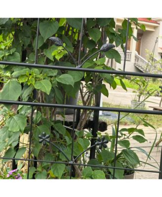 Metal Garden Trellis 2-Pack for Climbing Plants