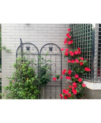 Metal Garden Trellis 2-Pack for Climbing Plants