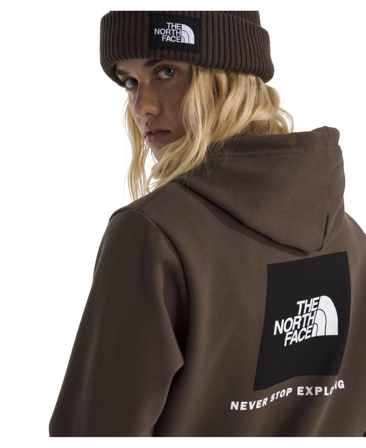 The North Face Women's Evolution Box Nse Hoodie In Brown