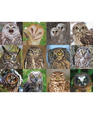 Owls and Owlets 1000 Piece Puzzle