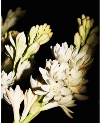 Gold Le Vestiaire Eau De Parfum, 4.2 oz.