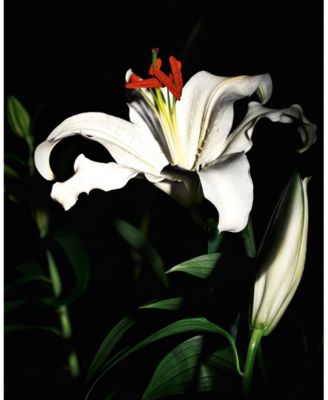 Capeline Le Vestiaire Eau De Parfum, 4.2 oz.