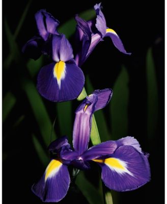 Trench Le Vestiaire Eau De Parfum, 4.2 oz.