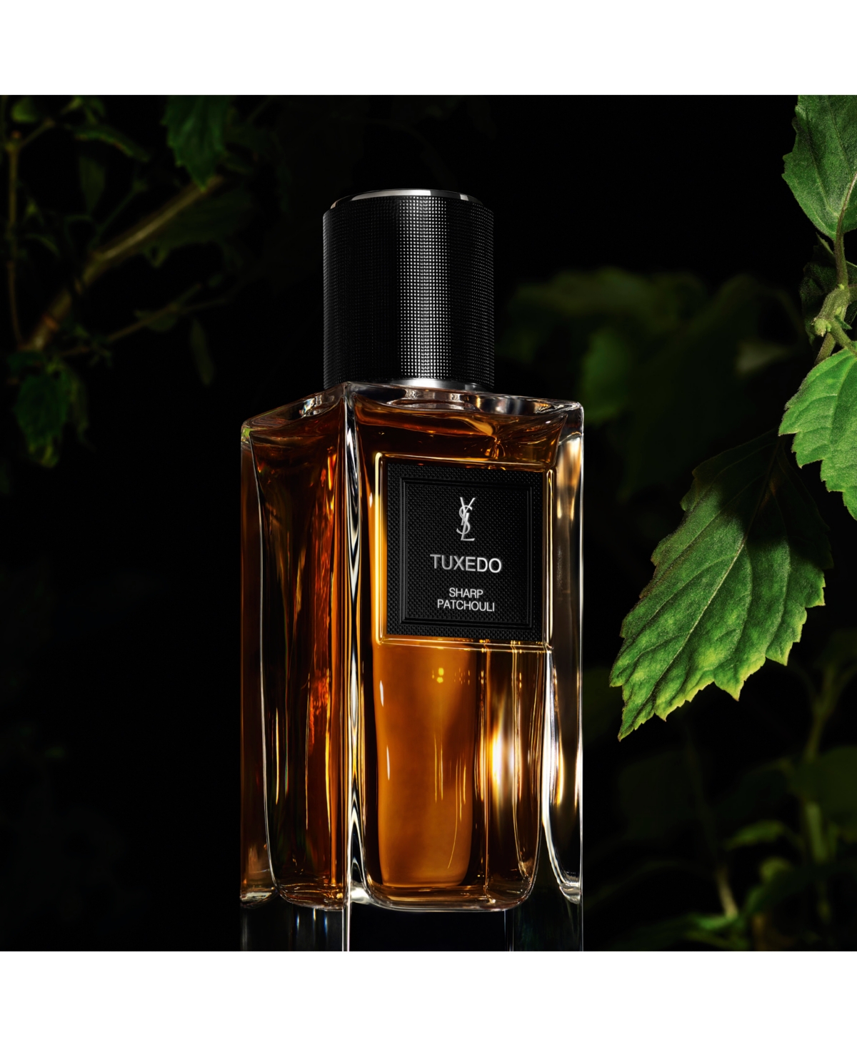 Saint Laurent 5-pc. Essential Miniatures Fragrance Set In Transparent