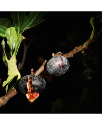 Lavalli&egrave;re Le Vestiaire Eau De Parfum, 1.1 oz.