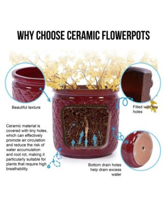 Set of 3 Modern Ceramic Planter Pots