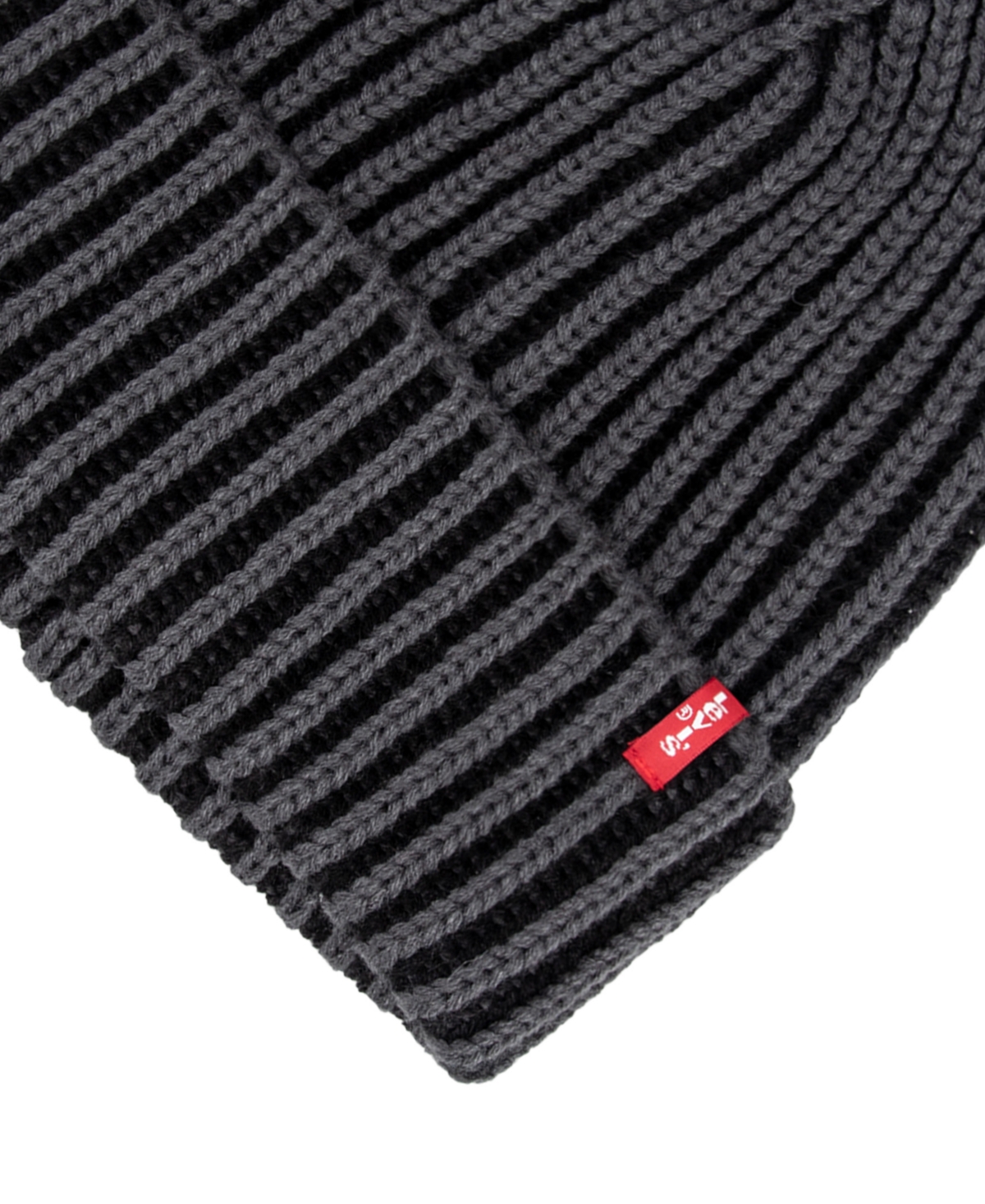 Levi's Men's Plated Ribbed Beanie