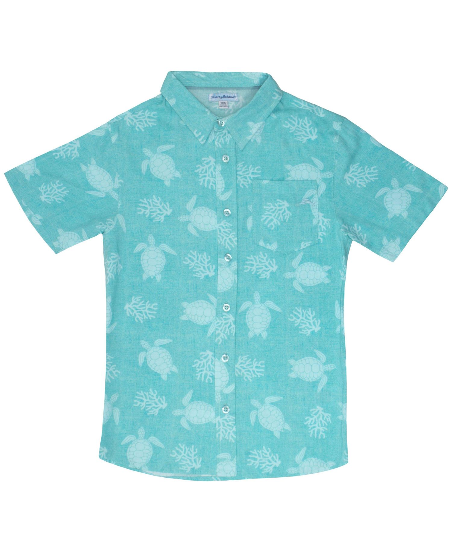 Little Boys Classic Woven Button Down Shirt and Pant Outfit Set