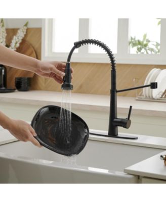 Single-Handle Pull-Down Sprayer 2 Spray High Arc Kitchen Faucet With Deck Plate in Matte Black