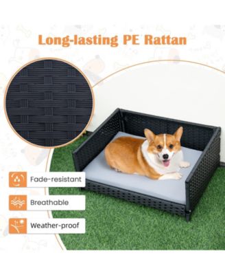 Rattan Dog Bed with Waterproof Soft Cushion for Medium Small Dogs Cats