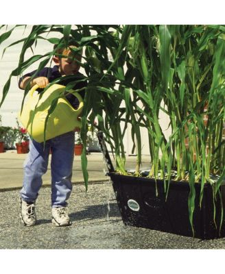 Ready to Grow Base Kit