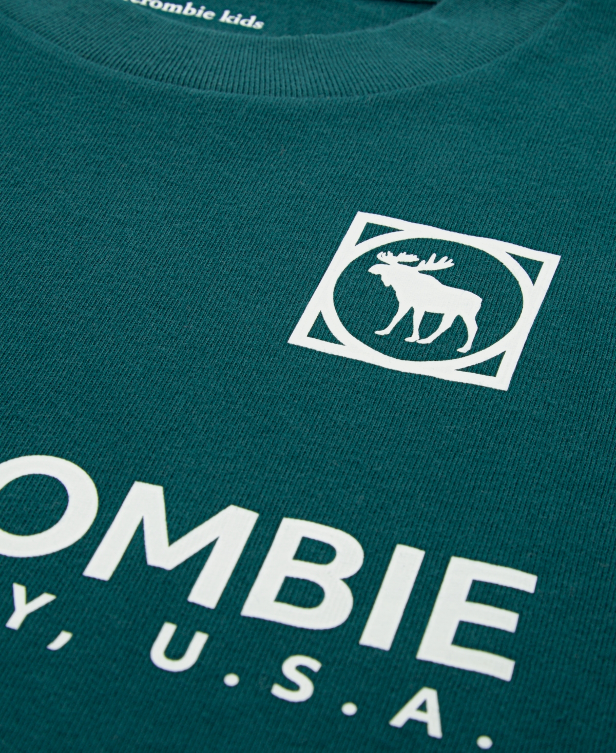 Abercrombie Little And Big Boys Emblems T-shirt In Blue