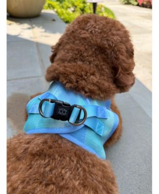 The AIR Harness - Ocean