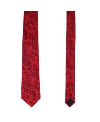 Men's Banbury Tone on Tone Paisley Silk Necktie