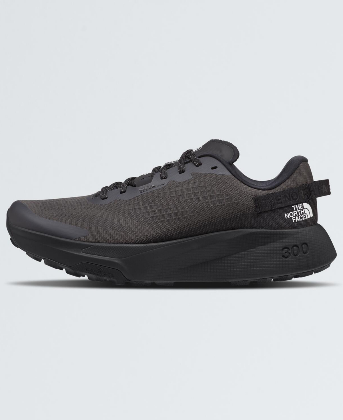 The North Face Altamesa 300 Trail Running Shoe In Black