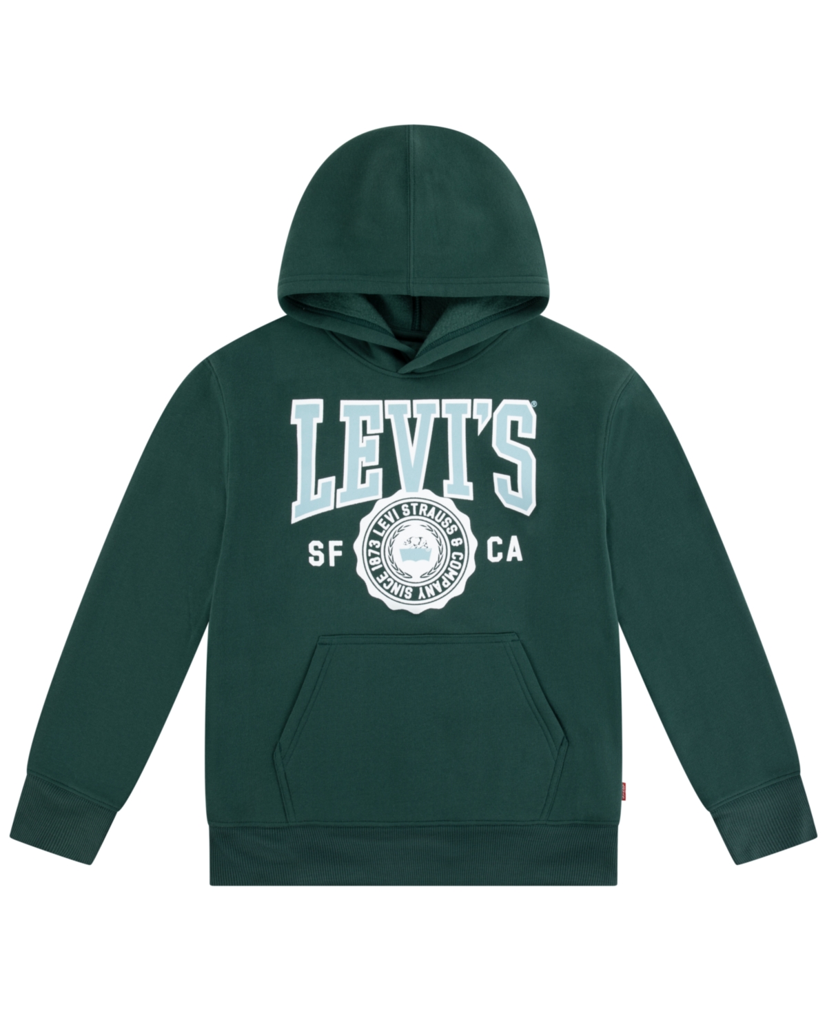 Levi's Boys 8-20 Sporty Long Sleeve Hoodie In Green