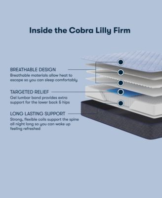 Perfect Sleeper Cobra Lily 10.5" Firm Tight Top Mattress Set, California King