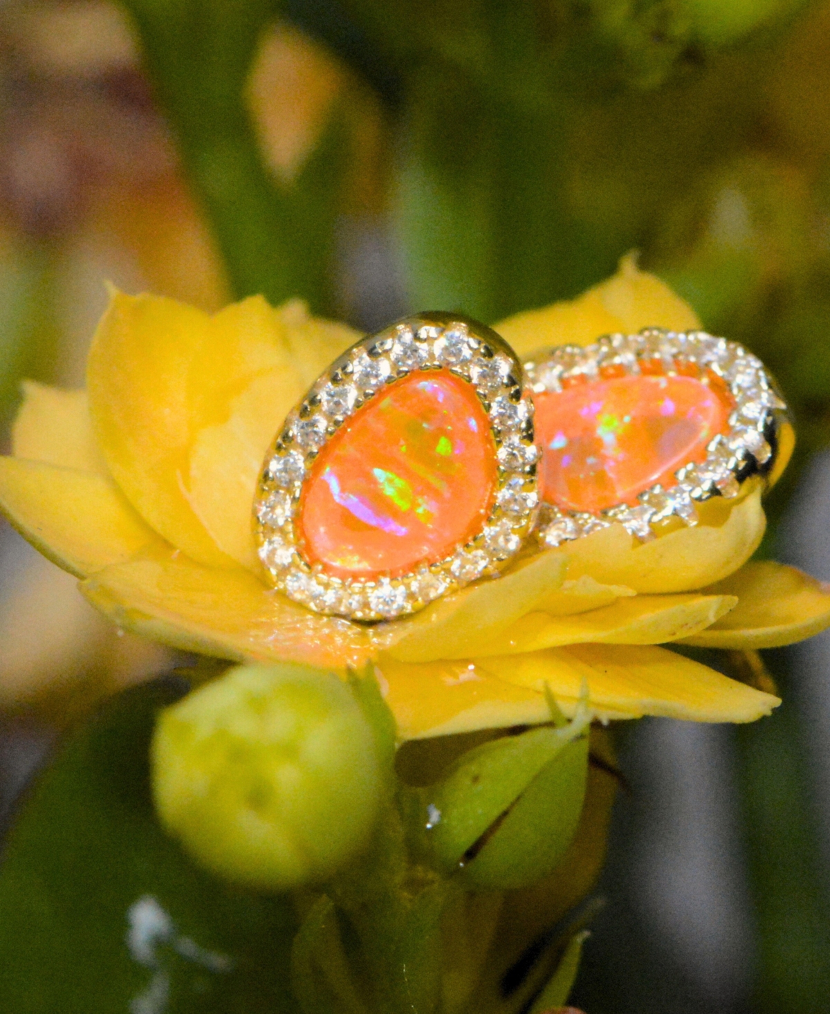 Kamaria Pebble Stud Earrings With Lab-grown Opal In 14k Gold Plated Sterling Silver