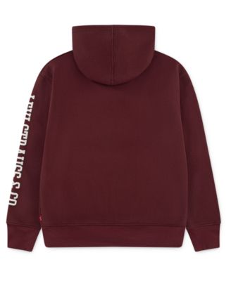 Boys' 8-20 Pull-On Hoodie Sweatshirt