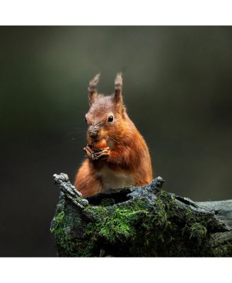 300-600mm f/4 DG OS Sports Lens for Sony E, White