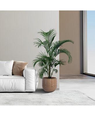 Set of 3 Modern Ceramic Planter Pots