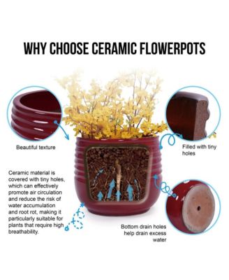 Set of 3 Modern Ceramic Planter Pots