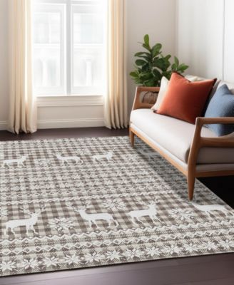 Holiday Washable Indoor/Outdoor ACN1820 10'x14' Area Rug