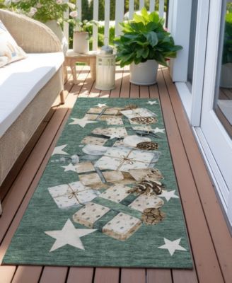 Holiday Washable Indoor/Outdoor ACN1825 2'3"x7'6" Runner Area Rug