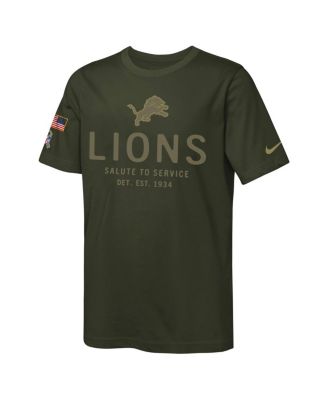 Big Boys and Girls Olive Detroit Lions 2025 Salute to Service Sideline Dri-FIT T-Shirt